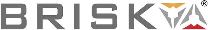 BRISK Elevators Logo